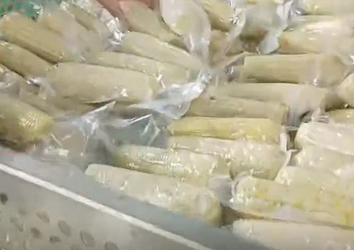 玉米加工设备